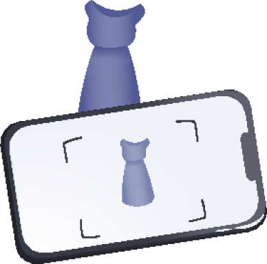 Scan and Verification